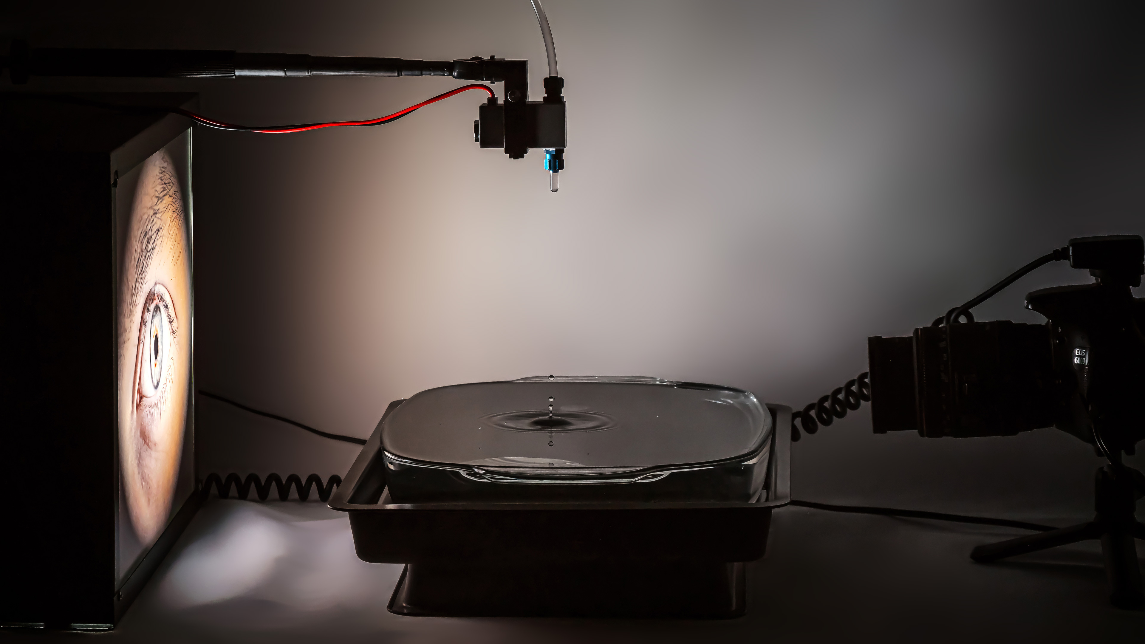 Seeing Water gallery image 1