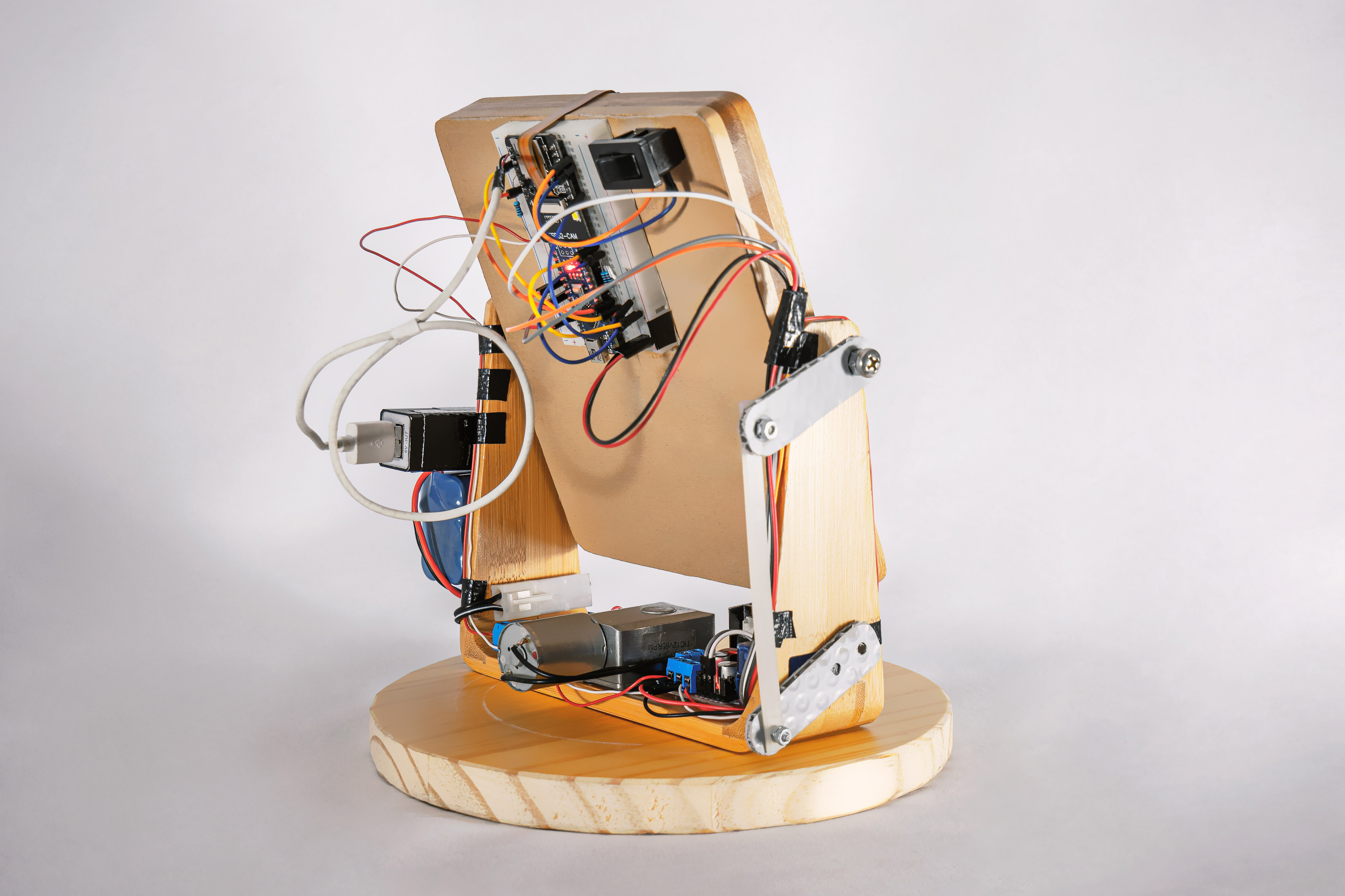 Timid Mirror gallery image 1